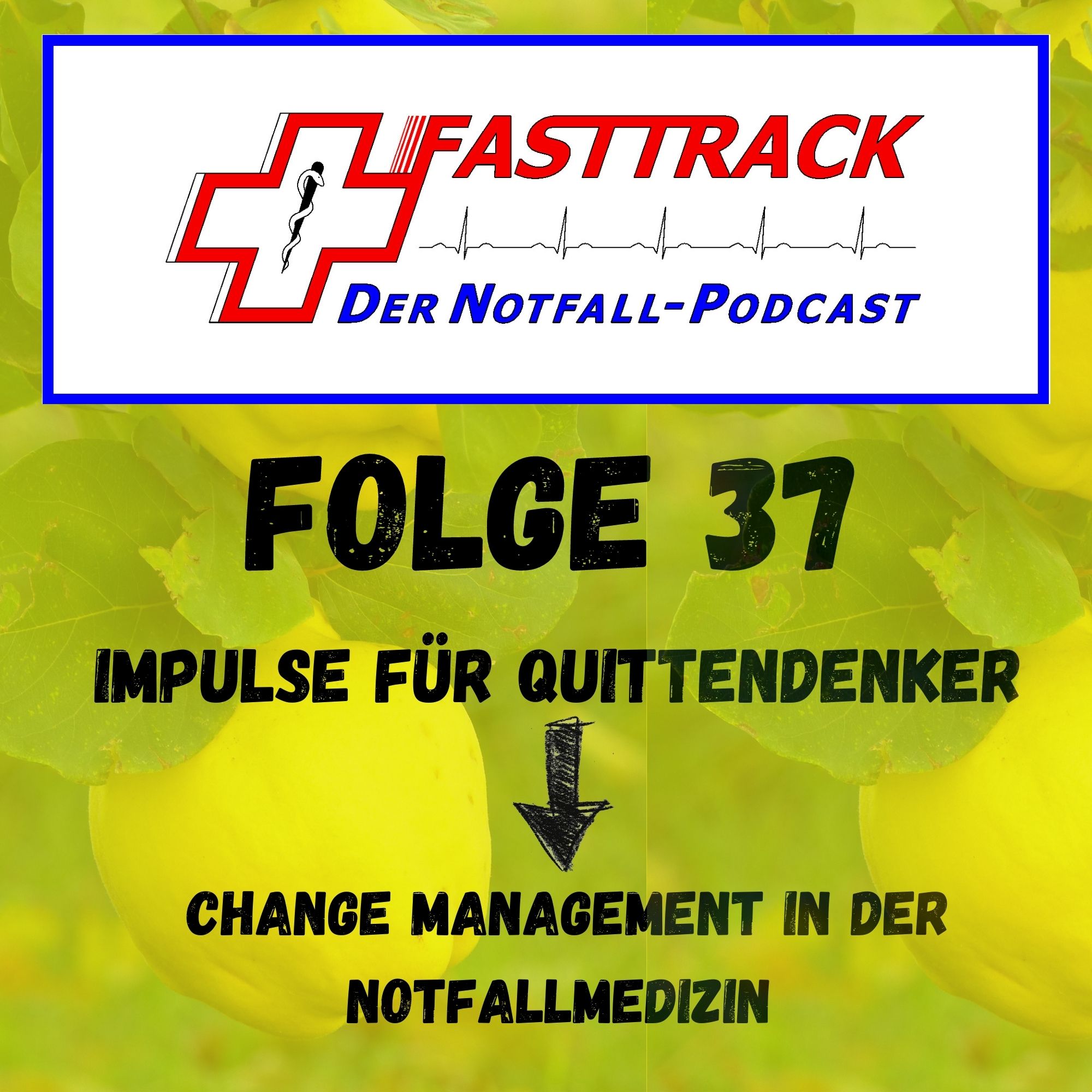 Fasttrack - Der Notfallpodcast