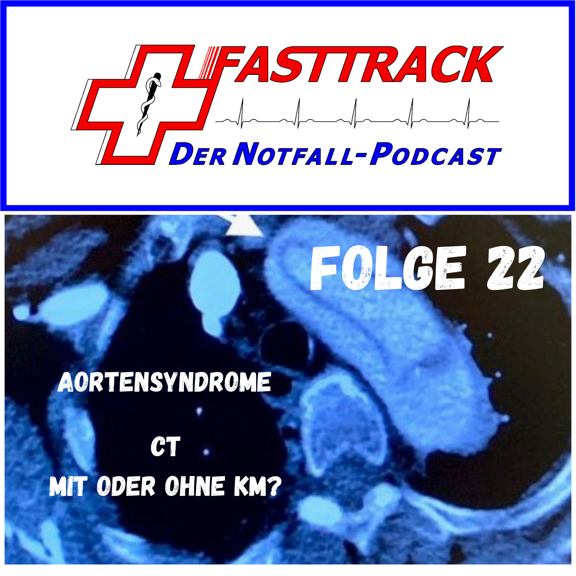 Fasttrack - Der Notfallpodcast